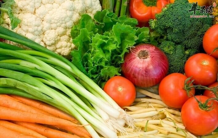 白露时节的饮食方法介绍  第2张