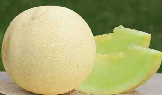 孕妇吃白兰瓜有哪些好处_益处