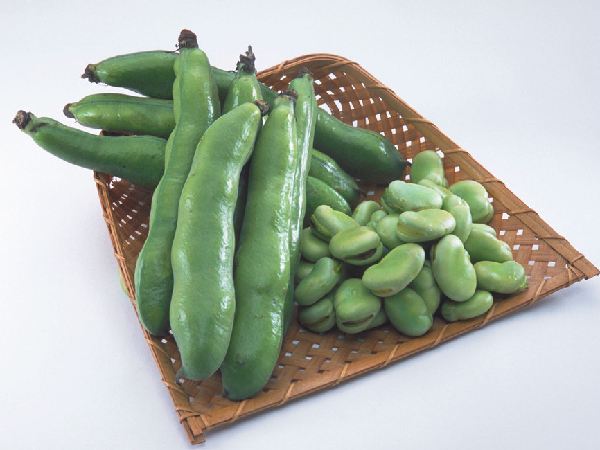 宝宝可以吃蚕豆吗  第1张