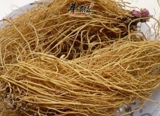 秋季感染风寒咳嗽服用细辛来化解  第2张