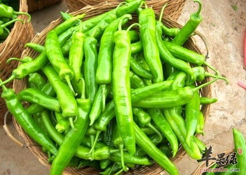 秋季注意饮食保健 注意这些更健康  第3张