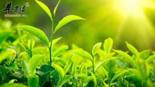 炎热夏季的降温方法 不要错过这些方法  第3张