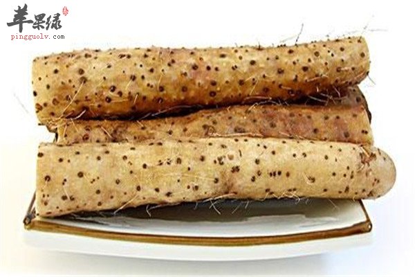 立春清热解毒止咳化痰的食疗方