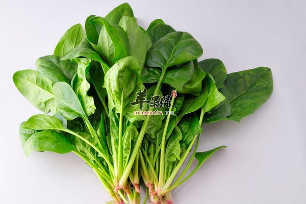 立春长高吃什么 试试这些增高食物