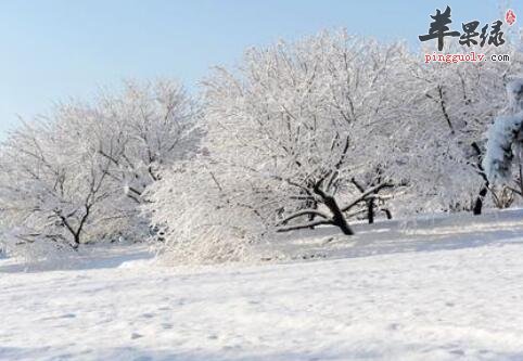 大雪的习俗 南北习俗有所不同  第1张