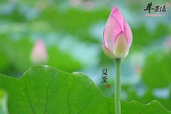 夏至谨防食物中毒 有哪些类型