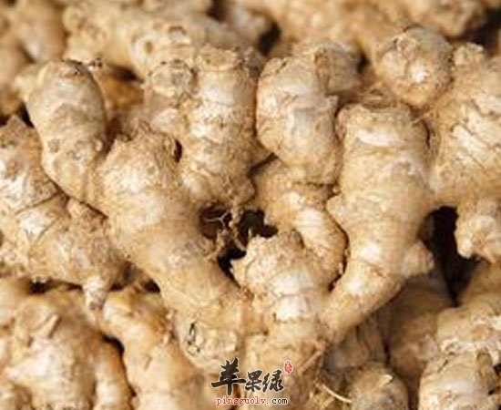 夏季三个养生小技巧 学起来  第3张