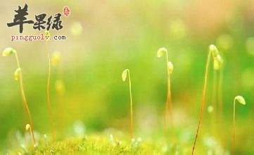 多吃蔬菜多锻炼 是春季养生常识  第1张