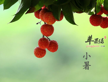 7月小暑正当时 我们应该如何养生  第4张