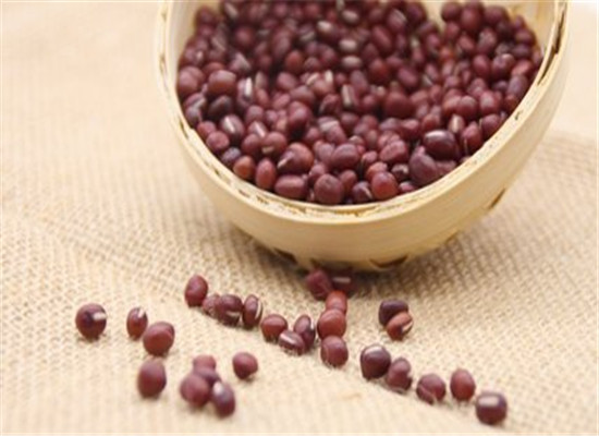 经期吃什么好_排毒排血的食物