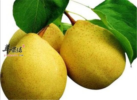 三种水果孕妇保胎安胎又补气  第2张