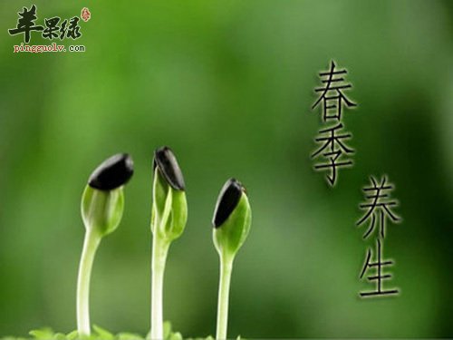 春季养生注意哪些问题 你知道多少  第3张