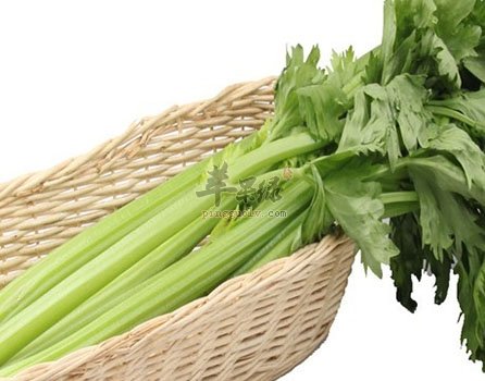 春季这样吃才能帮助缓解干燥  第4张