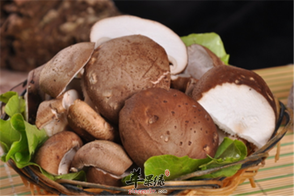 能够预防卵巢早衰的四种食材  第4张