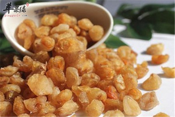 女性经期饮食调节能补气血