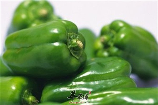 儿童远视眼的饮食调理方法  第3张