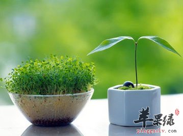 春季有讲究方能养生  第1张