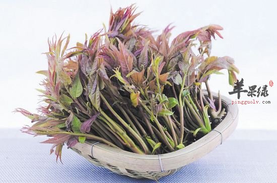 谷雨节气吃哪些蔬菜好  第1张
