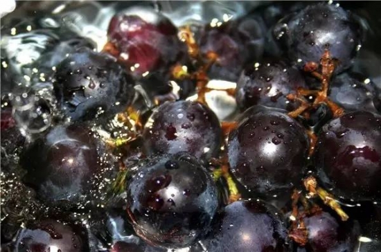 秋季如何通过饮食进补 吃这些养生效果好  第2张