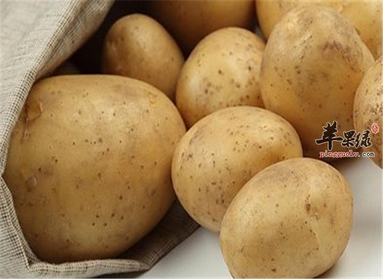 孕妇吃哪些食物具有养血安胎作用  第2张