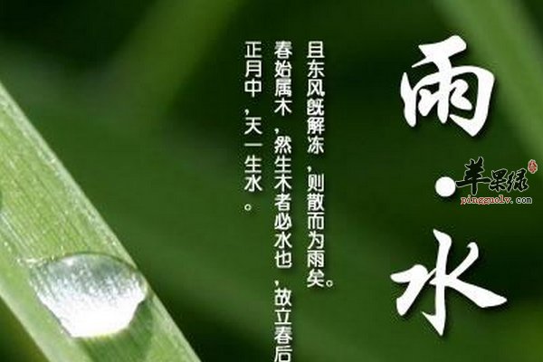 雨水节气养生要注意预防感冒  第2张