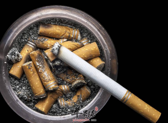 想要戒烟快试试这些戒烟茶吧  第1张