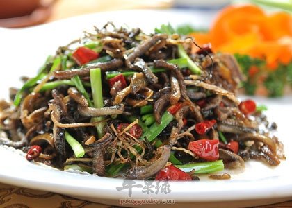 春季最适合吃的野菜 马齿苋蕨菜