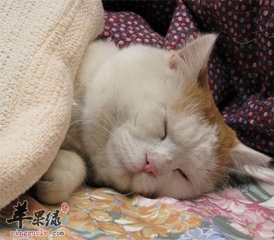 天热如何睡得安稳  第1张