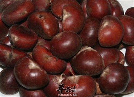四种食物最适合孕妈妈安胎食用