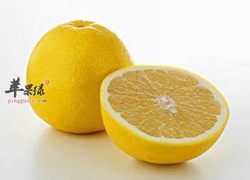 白露要多吃水果 吃这些水果可以润燥  第4张