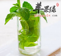 常喝薄荷茶好处多 有哪些饮食禁忌