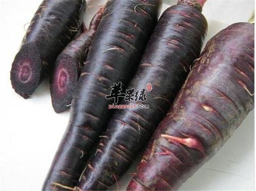 推荐女性多吃紫色食物能养生  第3张
