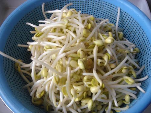 孕妇吃黄豆芽怎么样 适量吃很不错  第1张