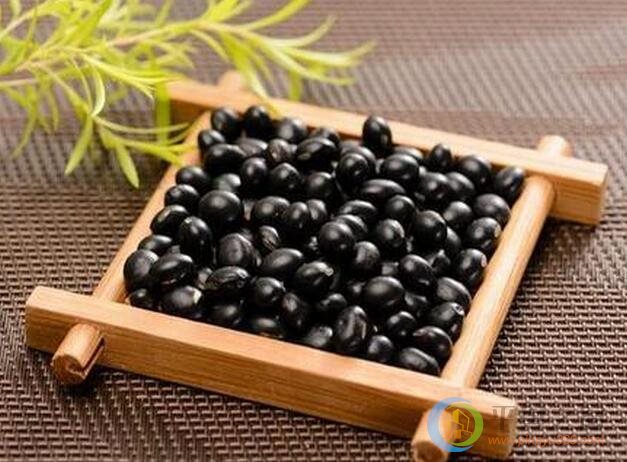 孕妇备孕可以吃黑豆吗_可不可以  第3张