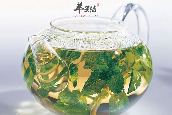 薄荷泡水喝竟然有这些禁忌