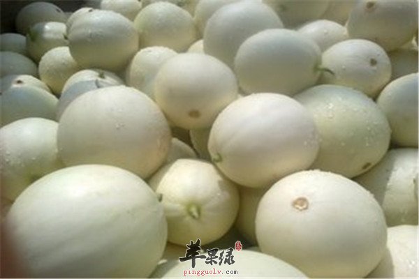 三种水果大暑节气最降暑  第4张