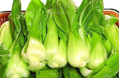 贫血的饮食建议 幼儿吃这些能补血  第2张