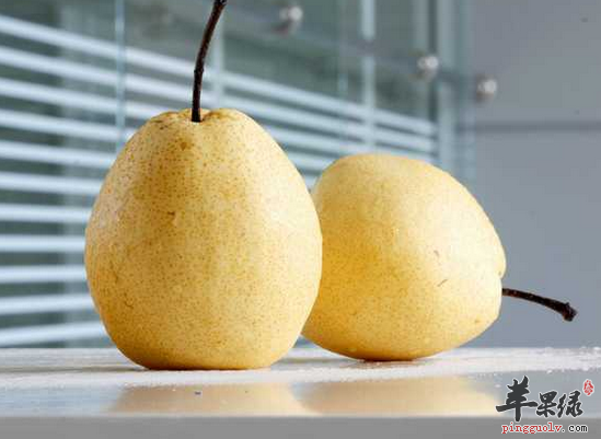 秋季吃鸭梨润喉祛痰助消化  第1张