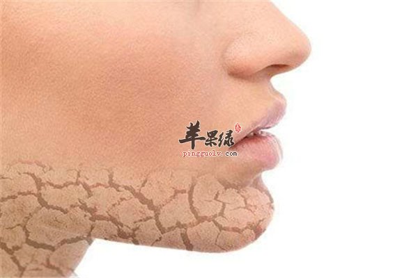 春季皮肤干燥如何补水  第3张