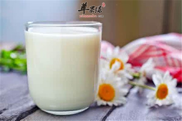 四种食物对抗老年人记忆力减退