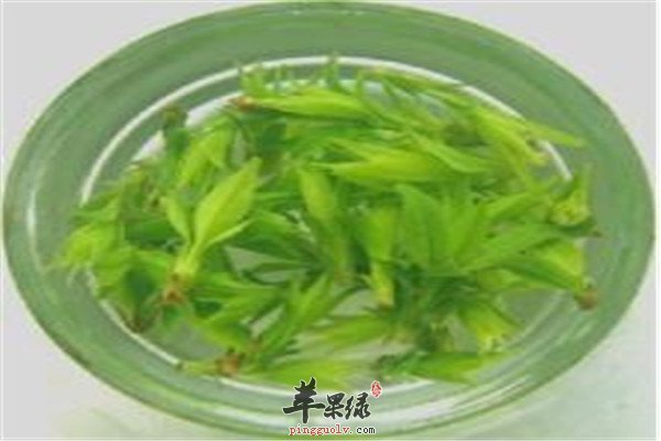 桑叶能吃吗 这样食用美容又护肤  第4张