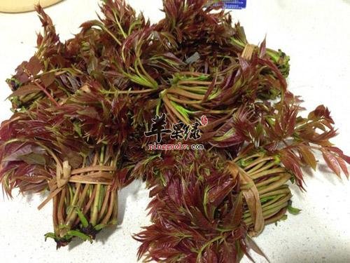 春分的饮食原则有哪些 注意吃这些  第1张