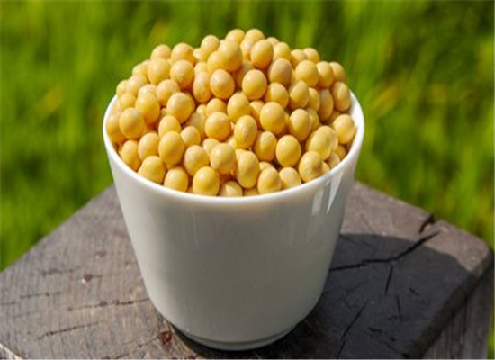 男性长痘痘 多吃大豆和韭菜