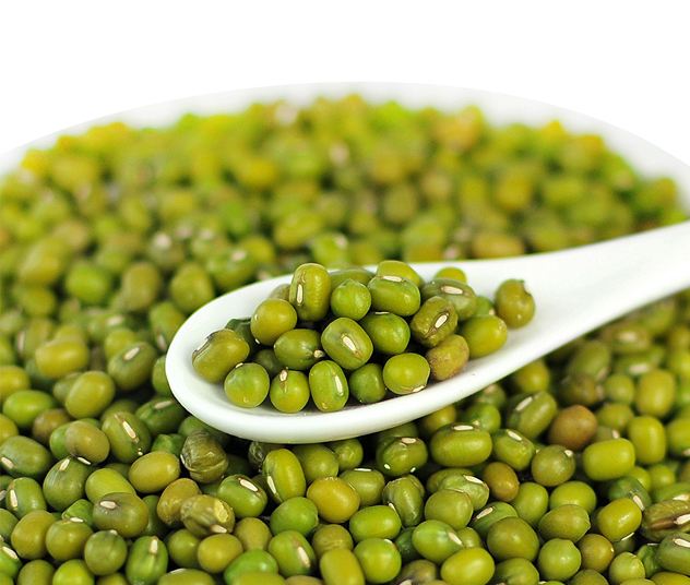 夏季我们食用绿豆 有哪些好处  第3张
