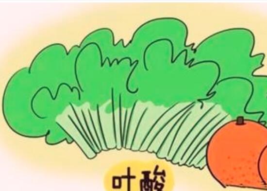孕前什么时候吃叶酸