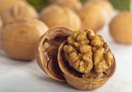 促进儿童智力发育吃什么食物  第1张
