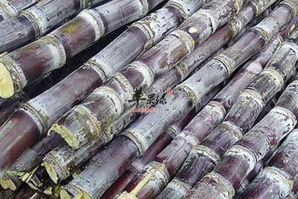 春季养生补血吃什么水果蔬菜合适  第1张
