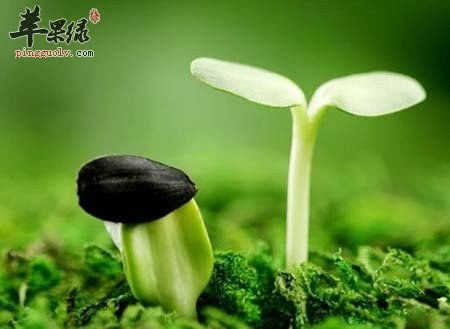 春季要重视排毒 春季养生必做的事  第1张