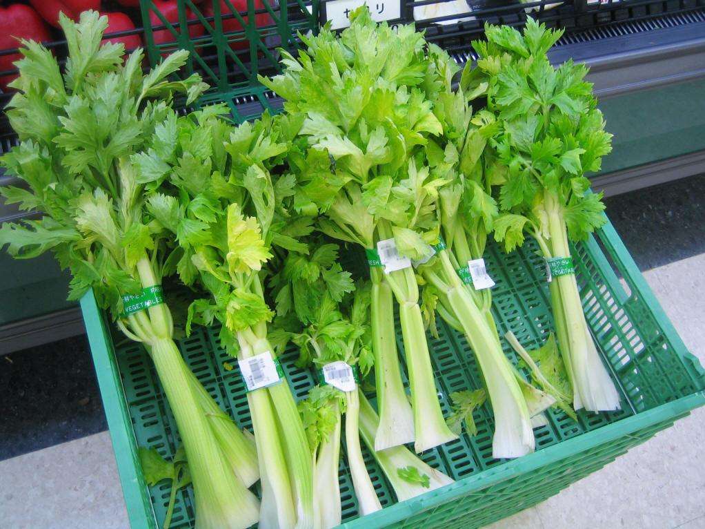 孕妇吃芹菜胎儿会黑吗  第3张