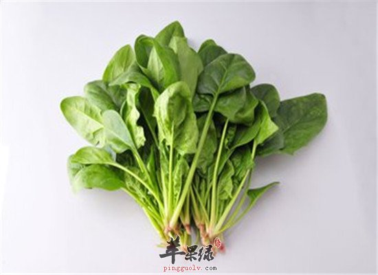 冬至吃什么菜 推荐菠菜和冬笋  第3张
